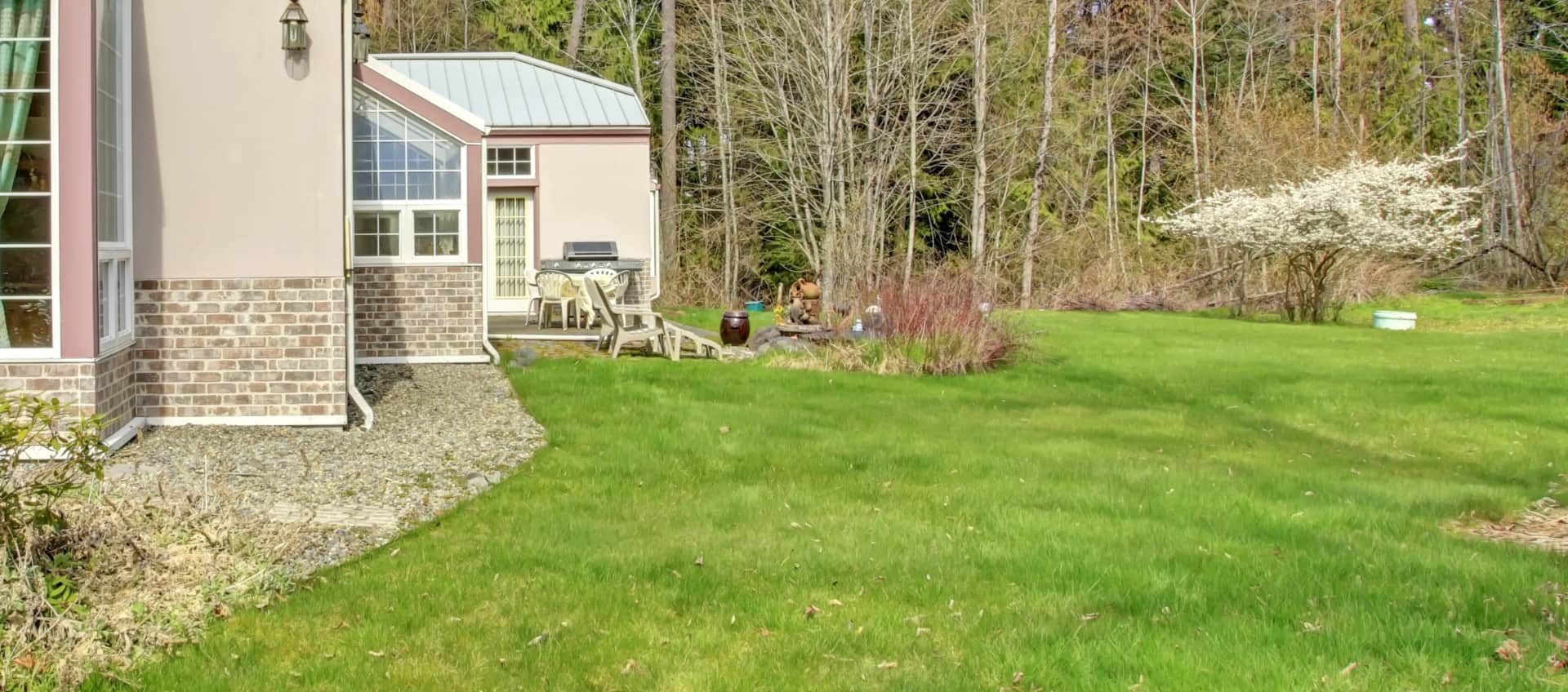Lush Back Yard